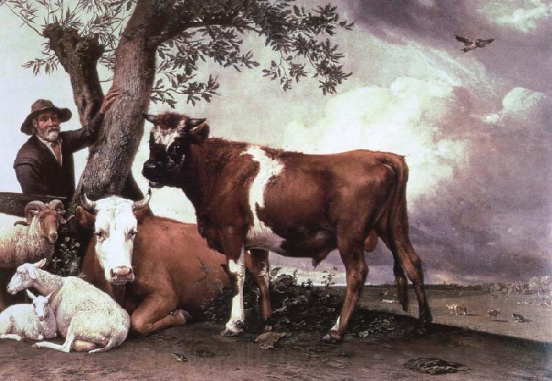 POTTER, Paulus the bull Spain oil painting art